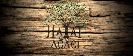 HAYAT AĞACI